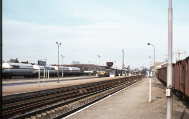 Herentals 1981-03-27 - Pierre HERBIET.jpg